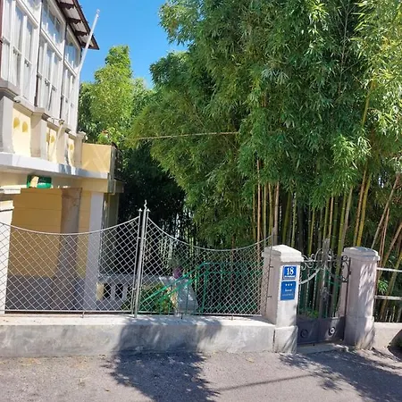 Bamboo 5